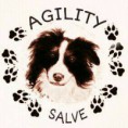 CLUB DE AGILITY SALVE